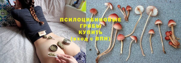 PSILOCYBIN Армянск